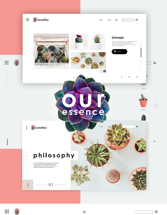 Cactus Rose - Web proposition