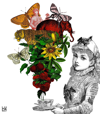 Floral collage
