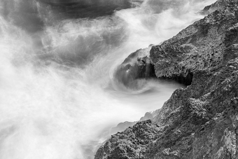 Nature [B&W]