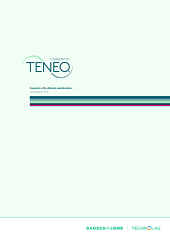 Teneo Branding