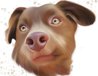 Digital paintings