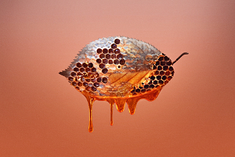 Honey Leaf