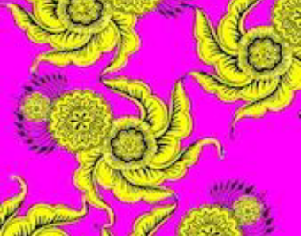disco jellyfish
