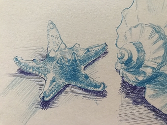 Ballpen drawing