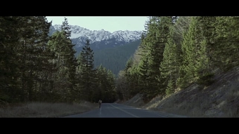 3FLD Travel Reel 2020