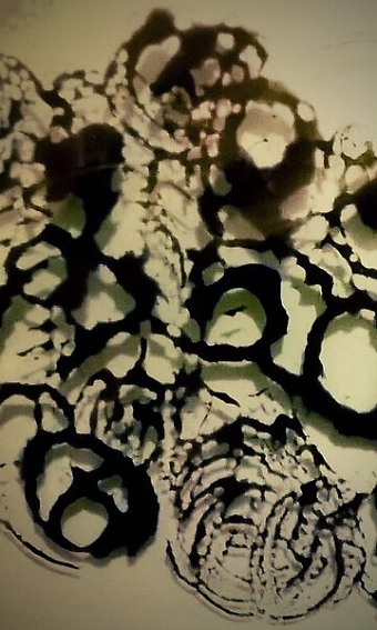 Projects artwork, product, surface, fashion design wares