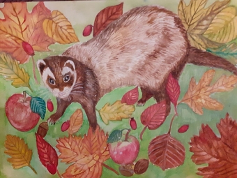 Mavis in Autumn