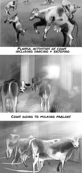 Storyboard for a milk ad