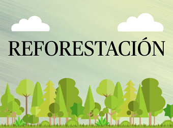 Reforestacíon