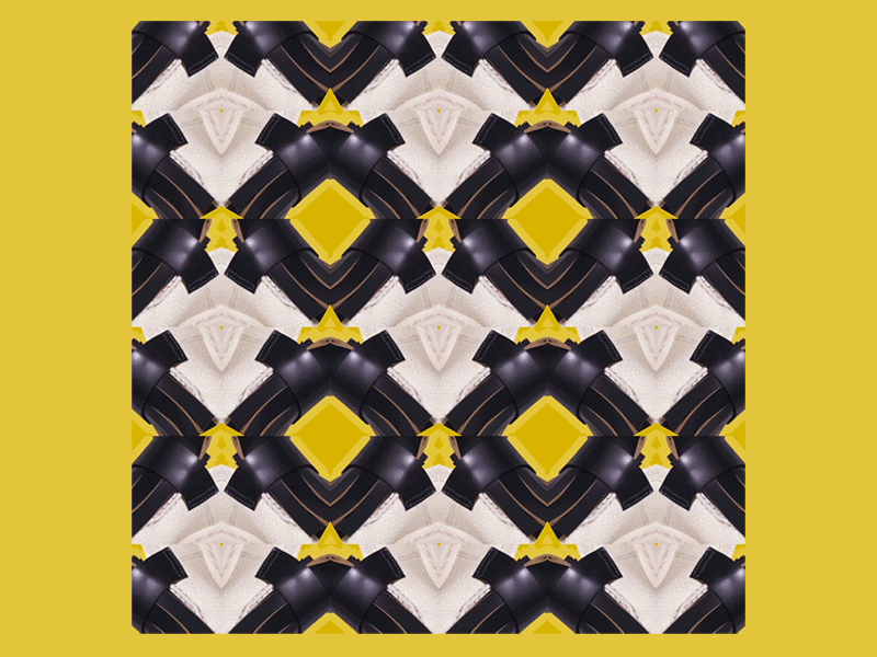 MARNI Collection