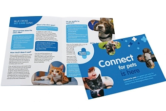 Various assets, brochures and advertising for Blue Cross