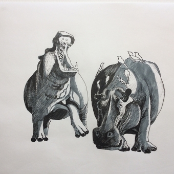 Hippos