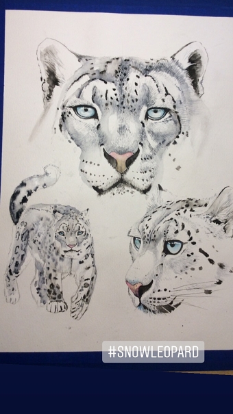 Snow Leopard illustration
