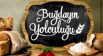 COOKING PROGRAM OPENING TITLE