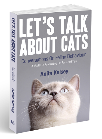 Book Design