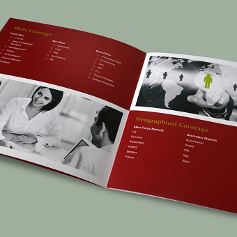 Dynamite Search Group Brochure