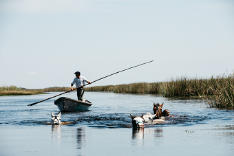 Gauchos Project | Tom Parker