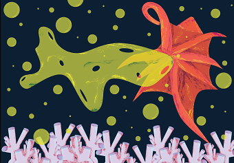 Coral death