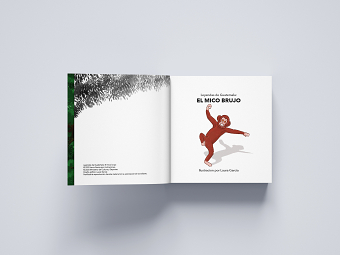 Illustration book