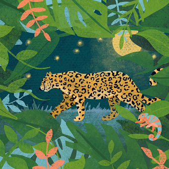 Leopard Illustration