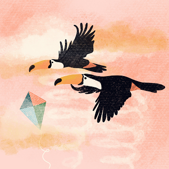 Toucans Illustration
