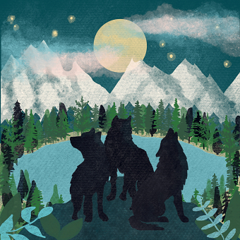 The Rockies Illustration