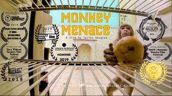Monkey Menace feature documentary