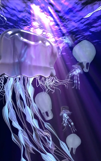 Ebbs & Flows by Ashley Wilkie - Light Up Poole 2019