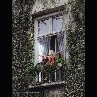 The window