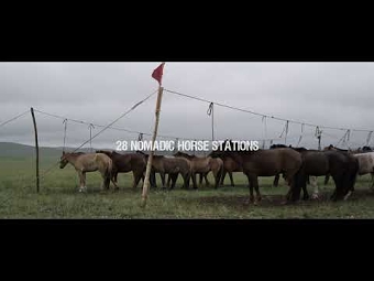 All The Wild Horses