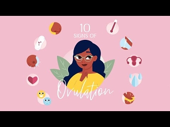 Ovulation - BabyCenter