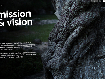 Rey Don Jaime 2020 - New Dossier