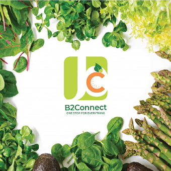 B2Connect - Branding