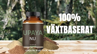 Upaya SM