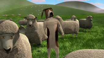 OntheRise