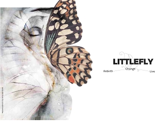 LittleFly