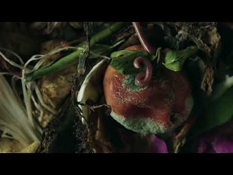 I Am Trash, Les Fleurs Du Déchet