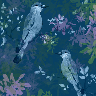 Midnight Melody