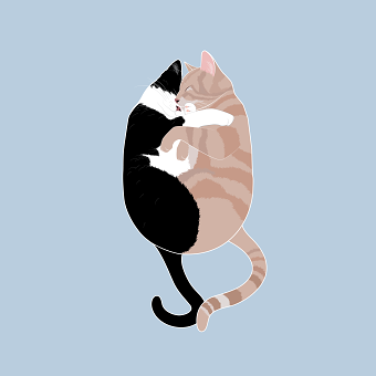 Phoebe and Albert Illustration