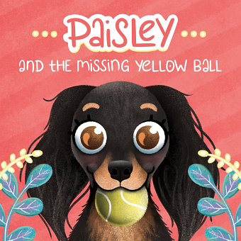 Paisley and the Missing Yellow Ball