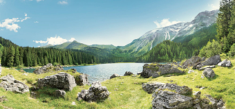Tirol Box