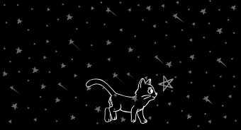 Cat & a Star
