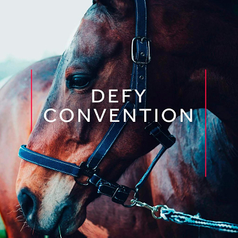 Horseware