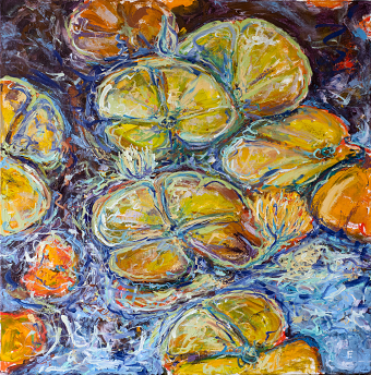 'Nymphaea'