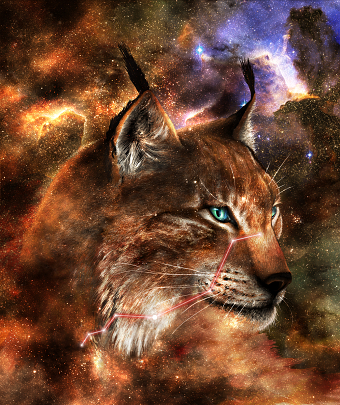 Alsciaukat of the Lyncis