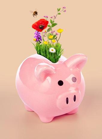 Green Finance illustration for RSA and Wardour