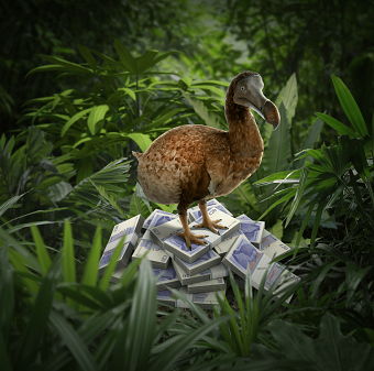 End of Cash illustration for Sanlam
