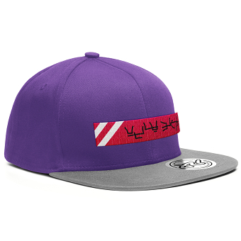 Snapback Collection