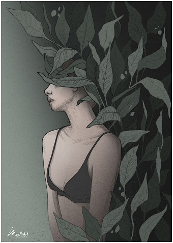Growth