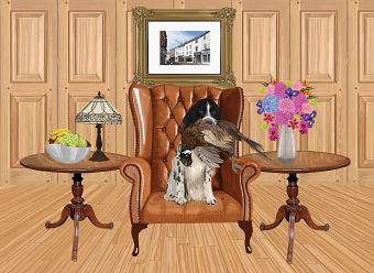 Dog on leather chair
